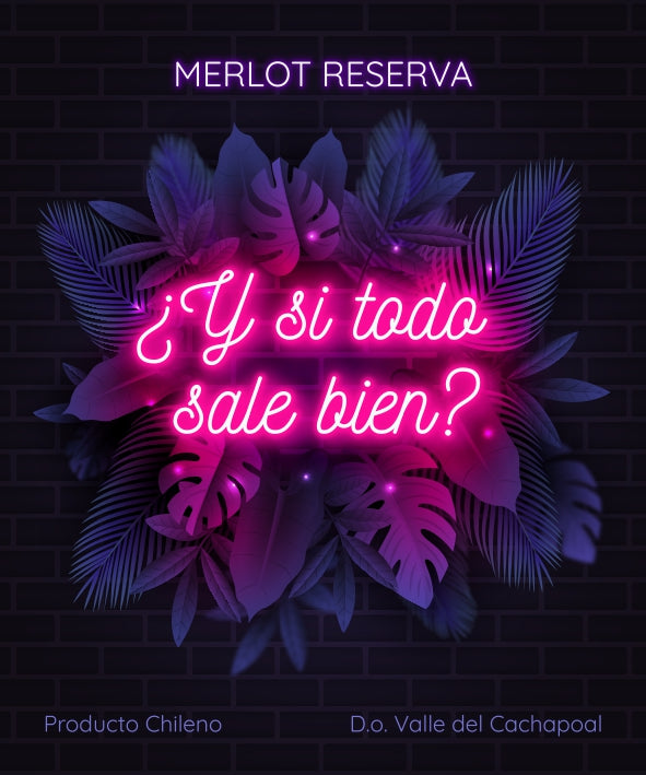 14 de Feb ¿Y si todo sale bien?