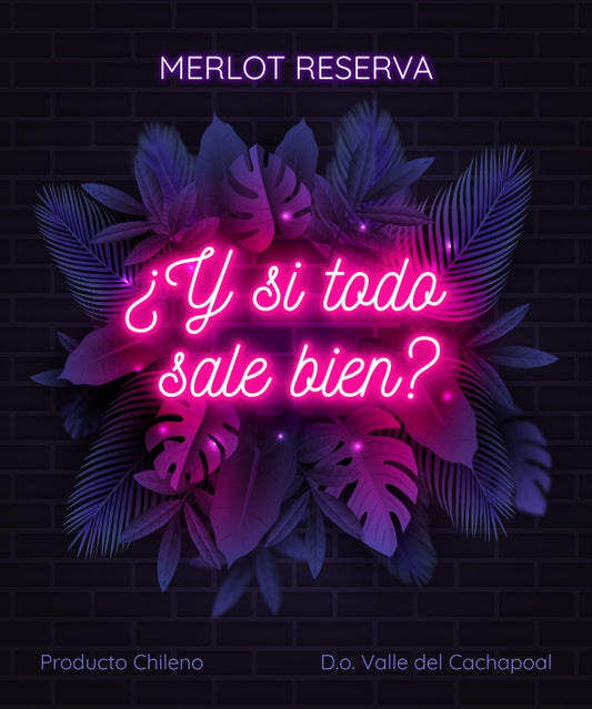 14 de Feb ¿Y si todo sale bien?
