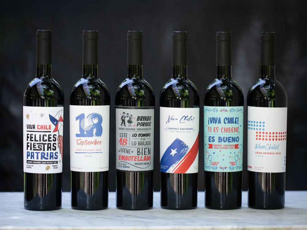 18 / Viva Chile