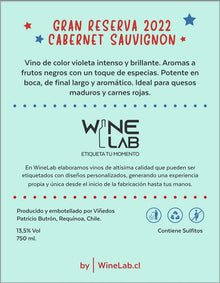 18 / Viva Chile