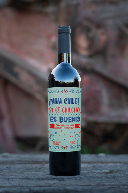 18 / Viva Chile