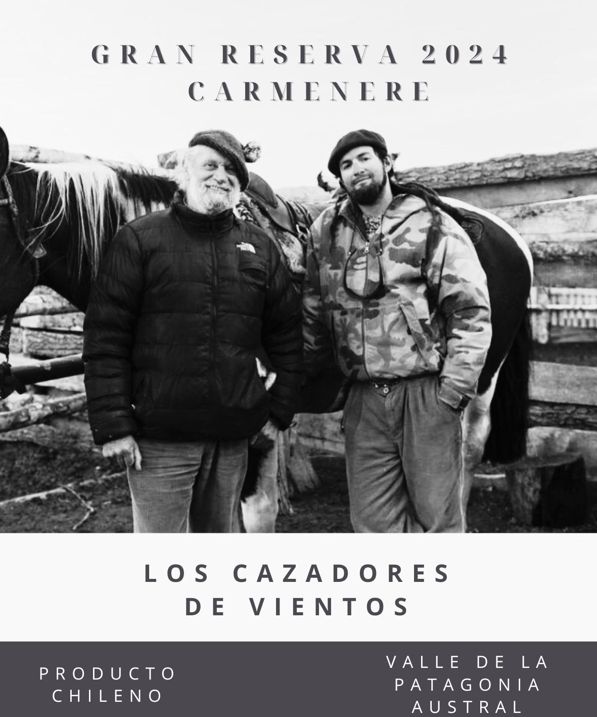 Aniversario Foto Gris