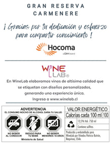 Jornada Kinésica