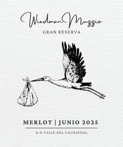 Embarazo Cigüeña