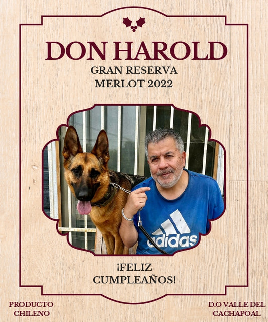 Don Perro
